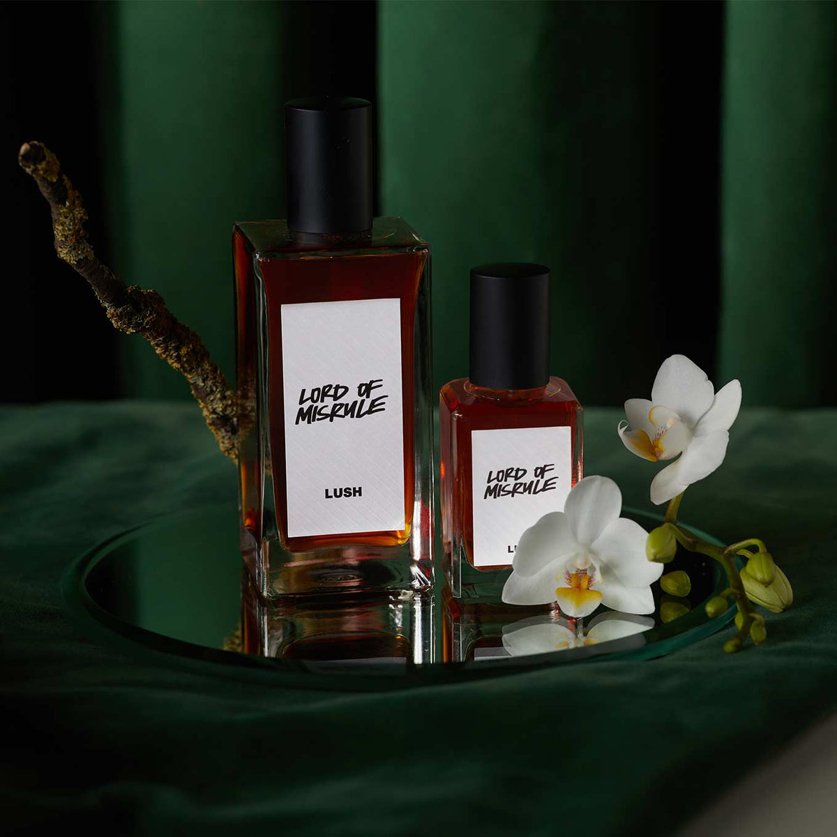Lord Of Misrule