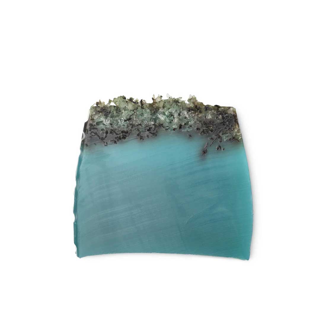 Sea Vegetable