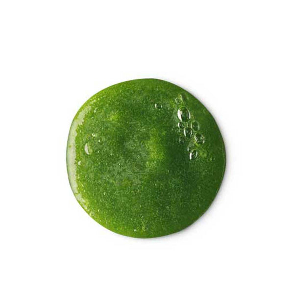 Wasabi Shan Kui